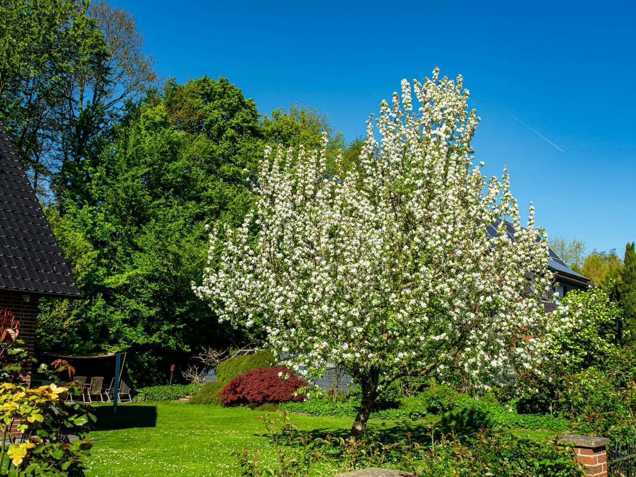 Jardin au sud-ouest
