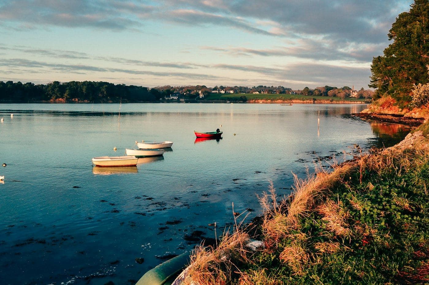 Le bord du golfe, au bas du terrain