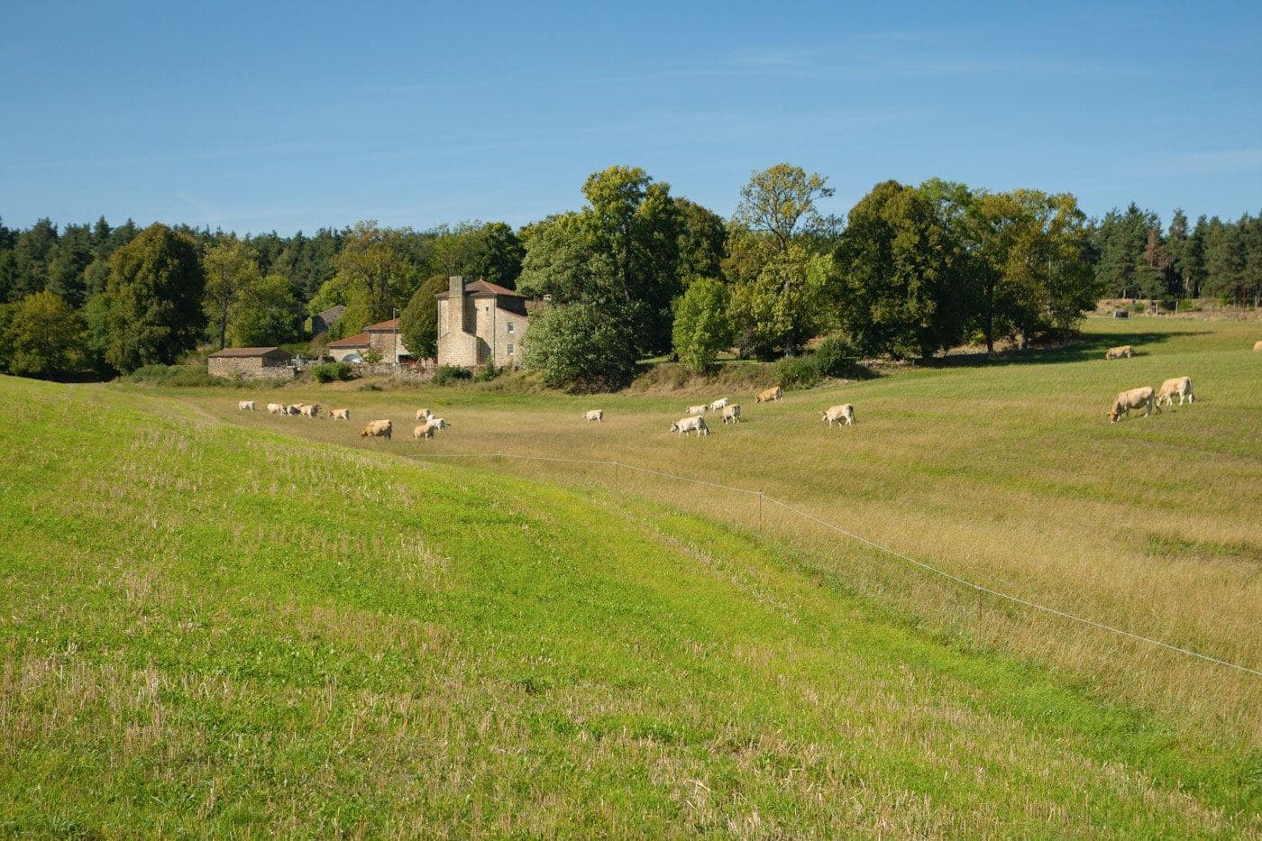 La prairie et une dépendance en pierre