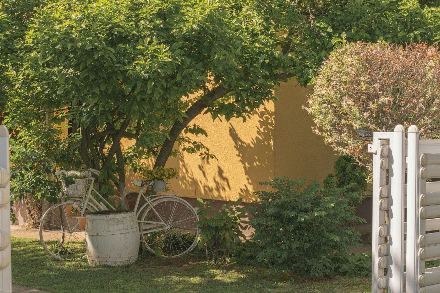 Jardin clos exposé au sud