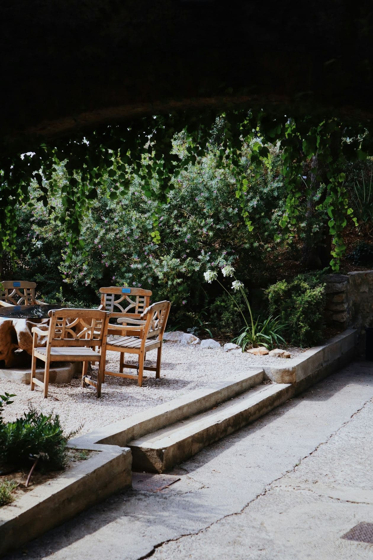 Le jardin et sa terrasse