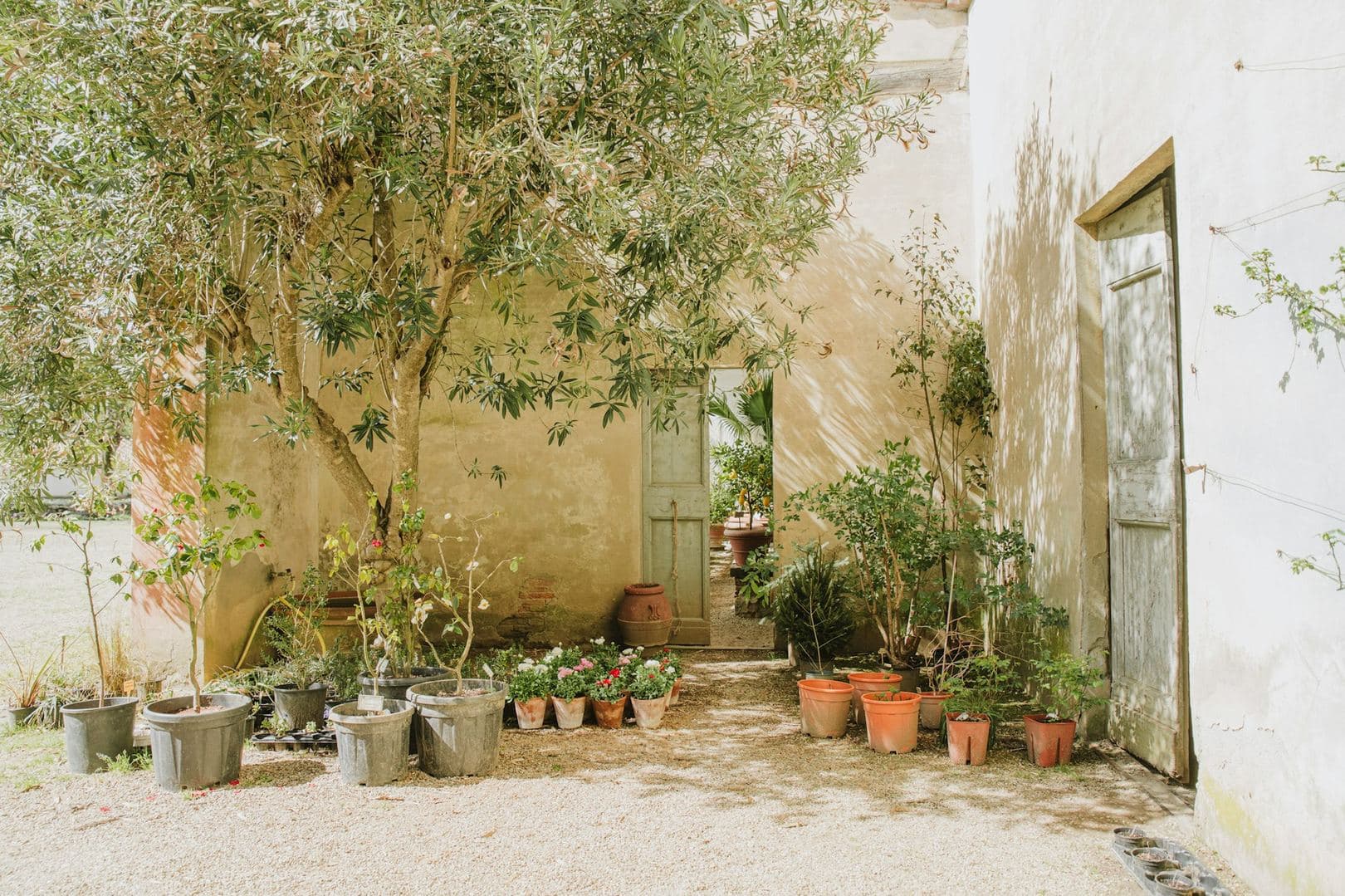 La cour au sud-ouest