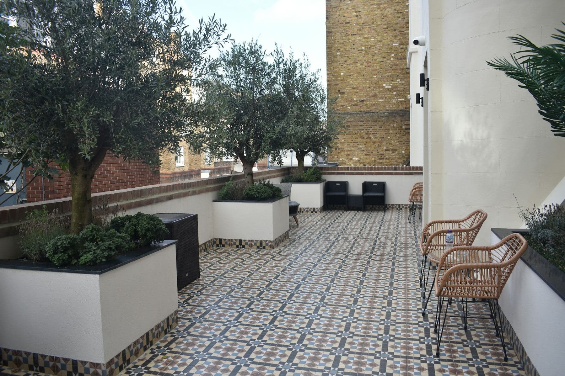 Terrasse plantée d’oliviers