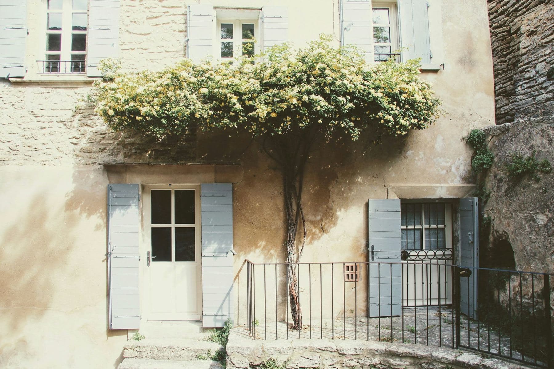 Façade en pierre et glycine